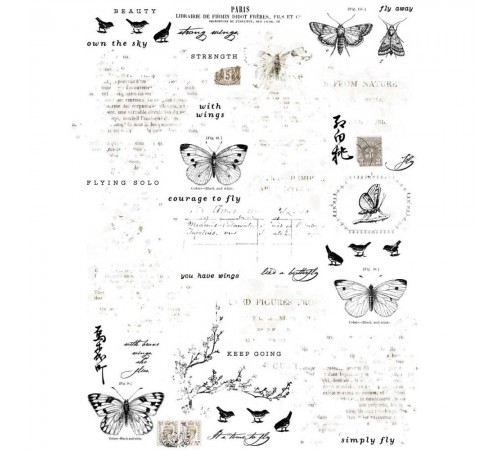 Rub-on - 6 x 8 - Essentiel Butterflies 01 - 49 and Market 